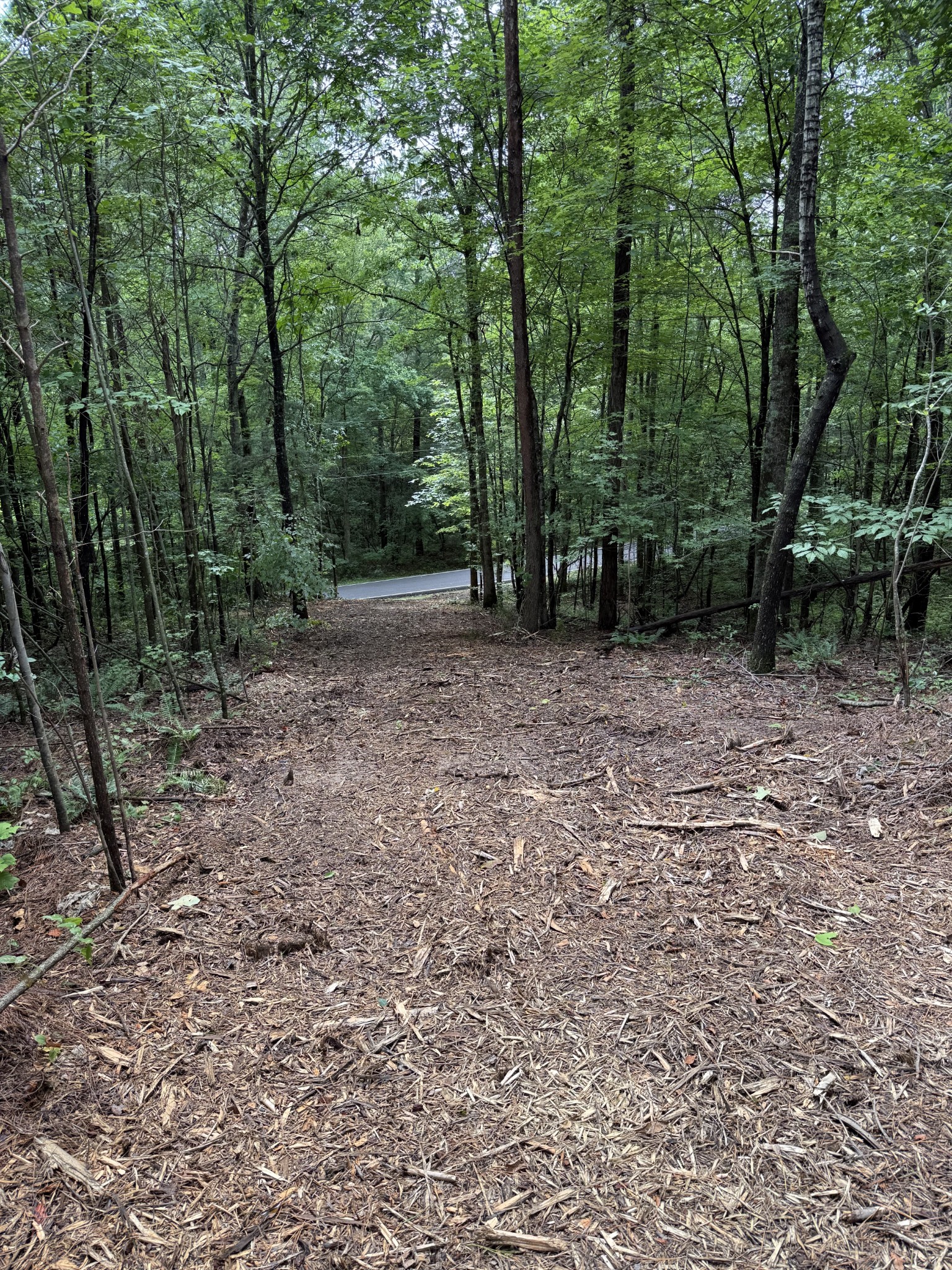 0 Spokelay Road Spencer TN 38585