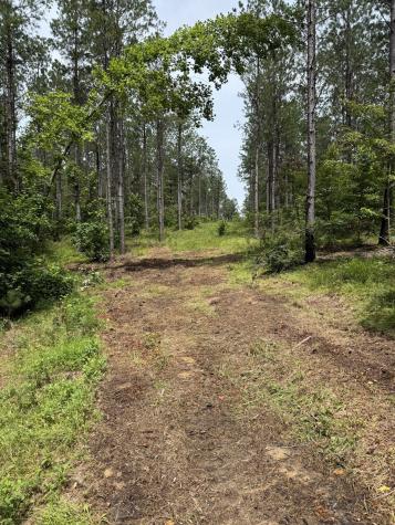 0 Spokelay Road Spencer TN 38585