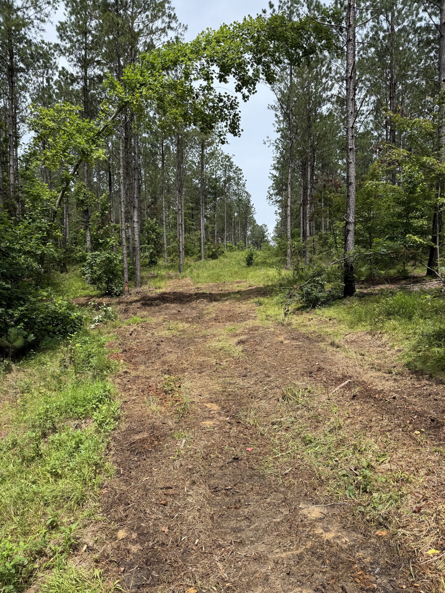 0 Spokelay Road Spencer TN 38585