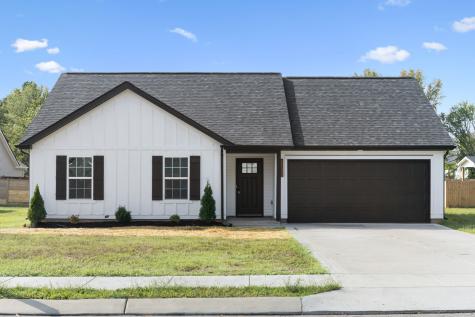 1105 Shaylee Drive Springfield TN 37172