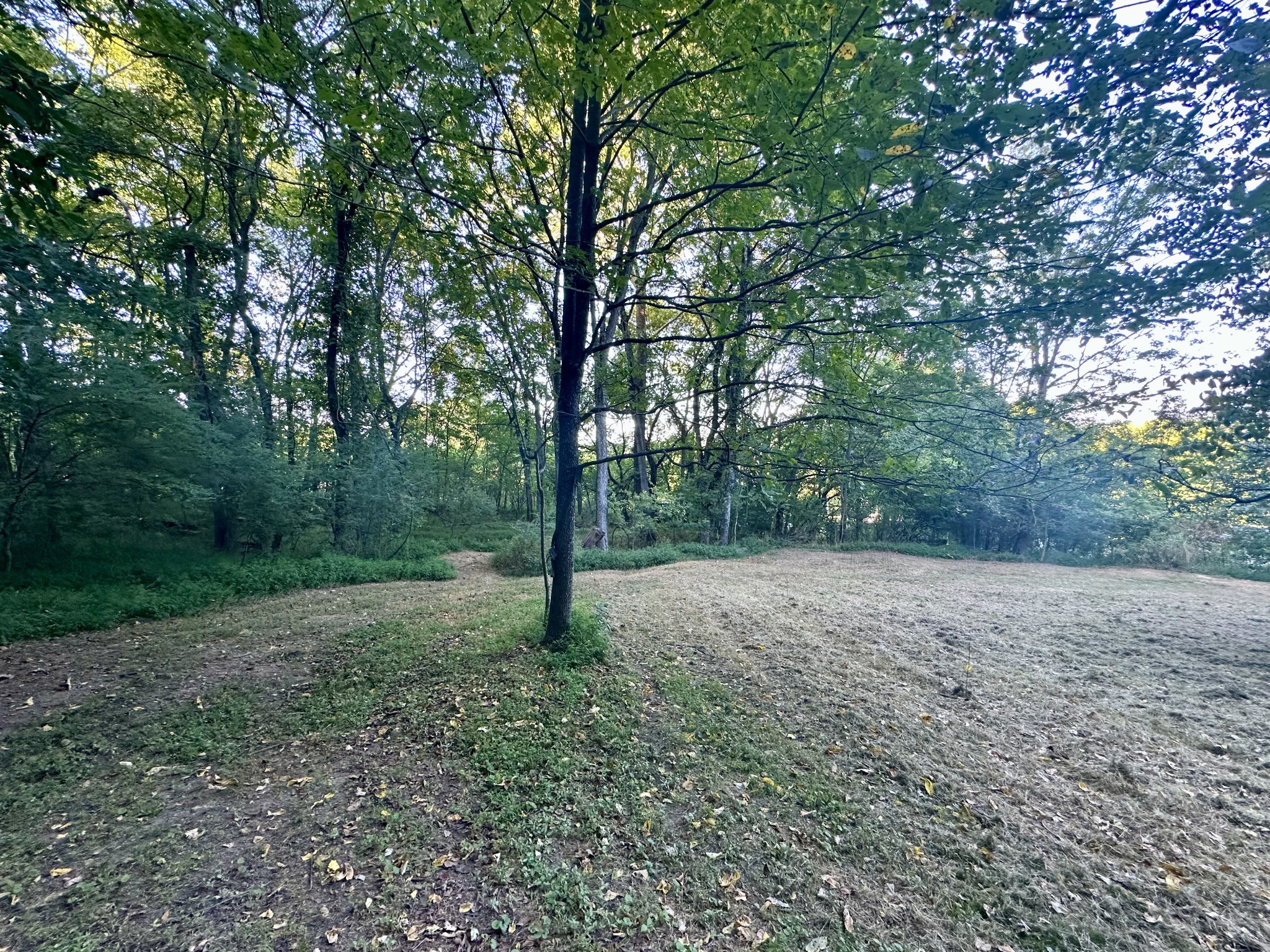 4002 Rippey Lake Road Mount Pleasant TN 38474