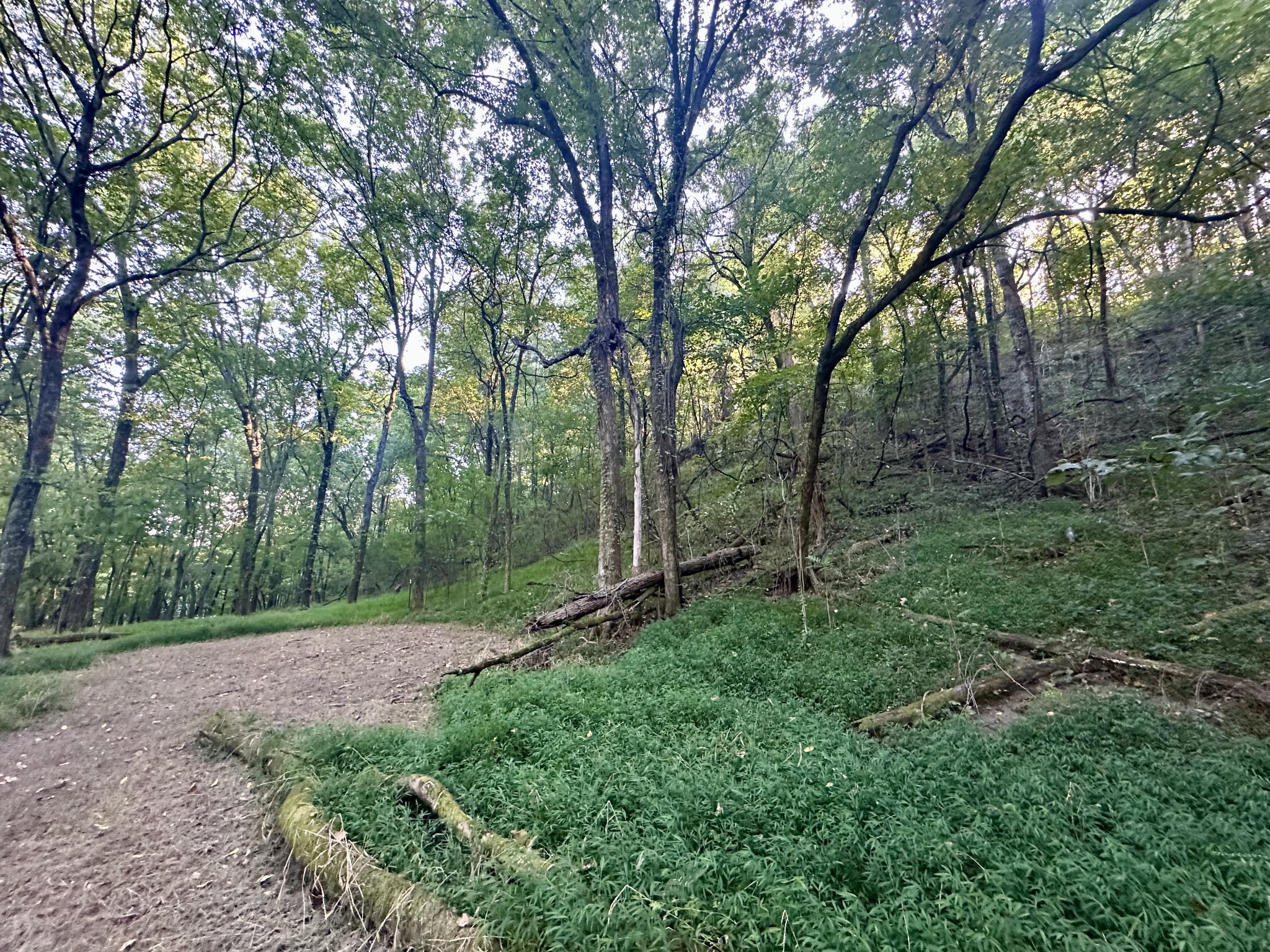 4002 Rippey Lake Road Mount Pleasant TN 38474