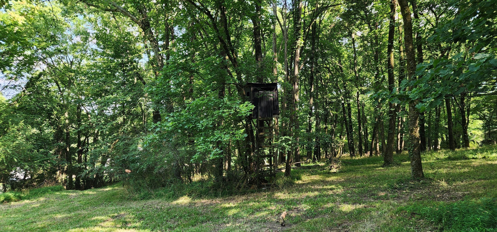 4002 Rippey Lake Road Mount Pleasant TN 38474