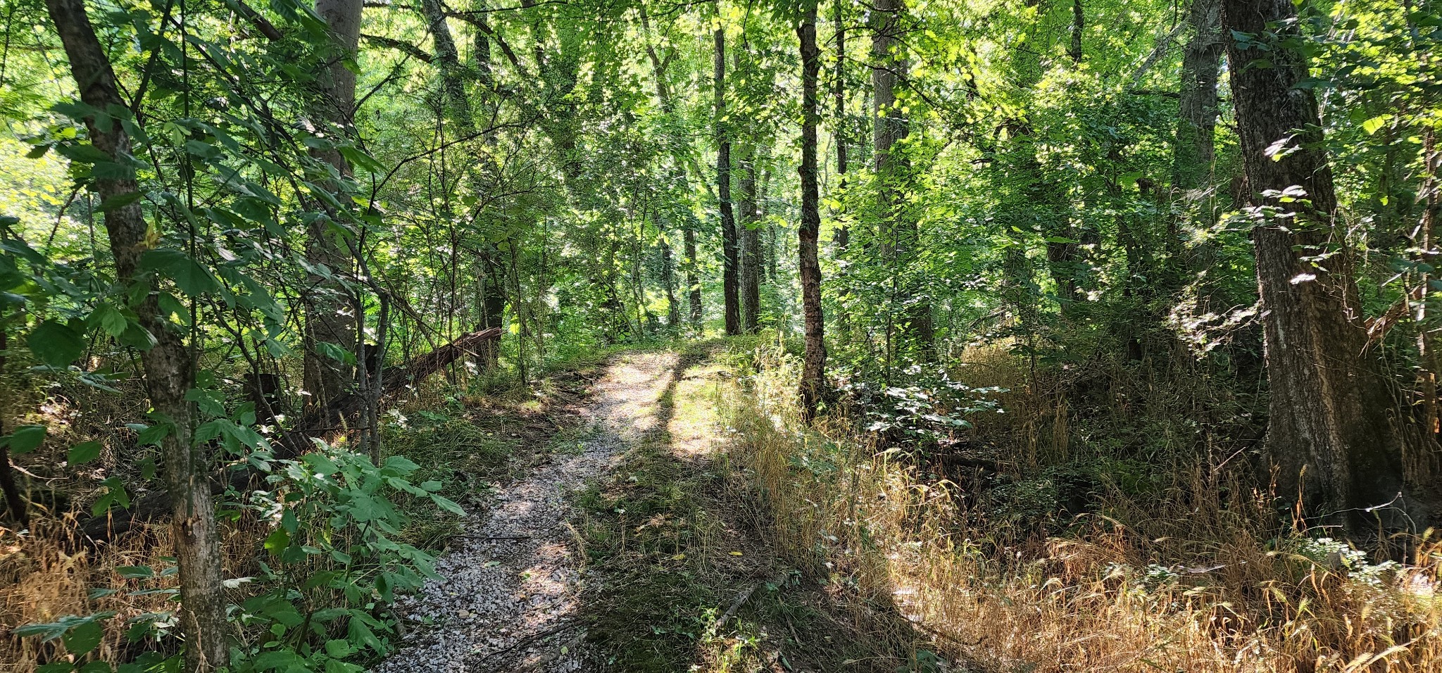 4002 Rippey Lake Road Mount Pleasant TN 38474
