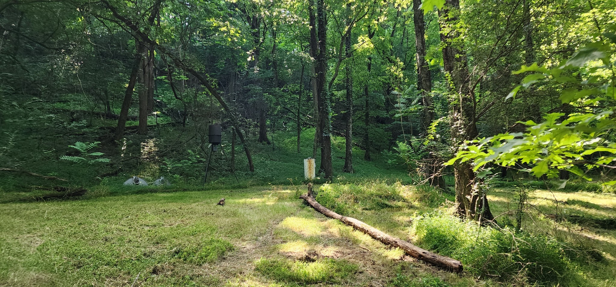 4002 Rippey Lake Road Mount Pleasant TN 38474