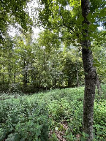 1708 Woodsong Drive Brentwood TN 37027