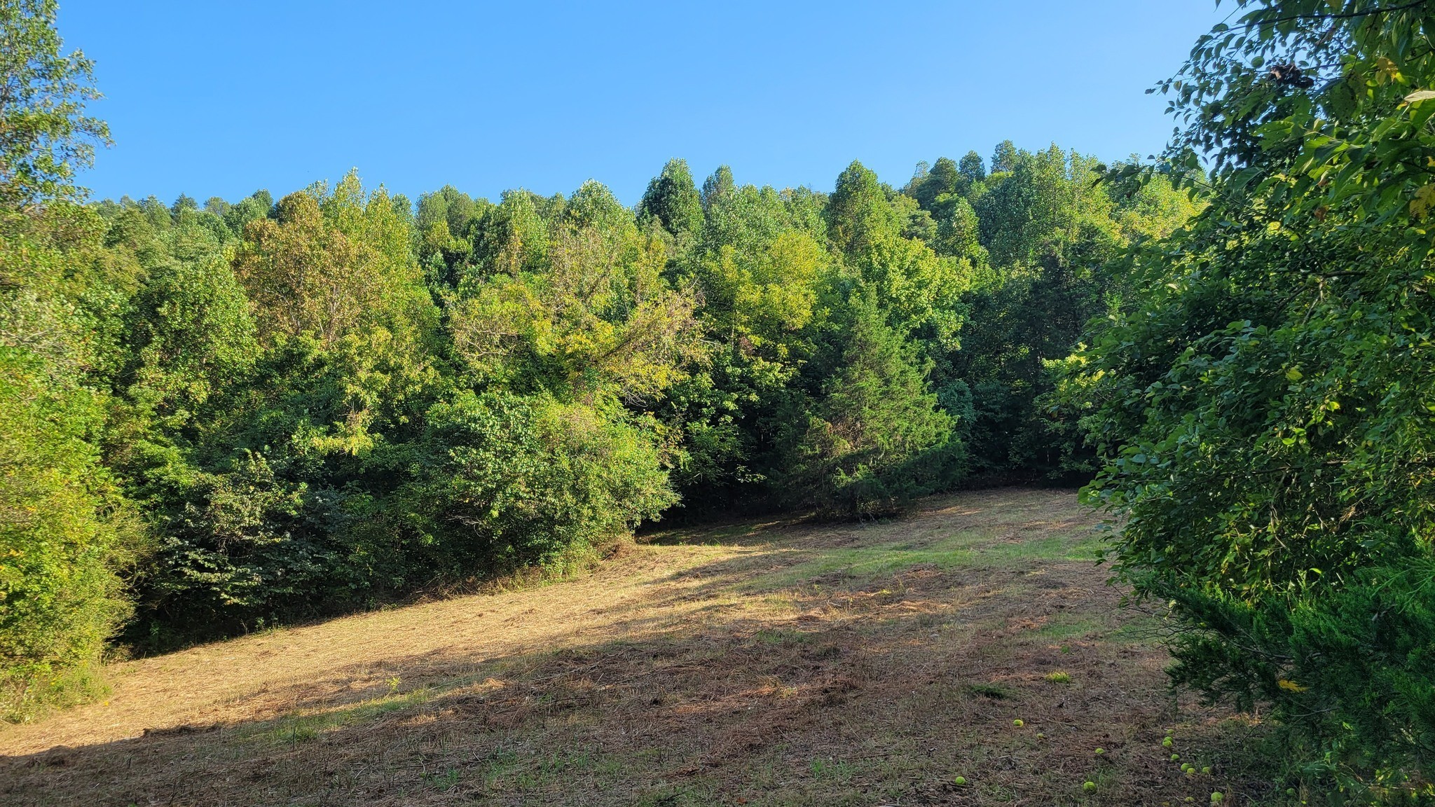 48 Hannah Br Road Petersburg TN 37144