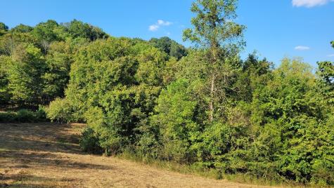 48 Hannah Br Road Petersburg TN 37144