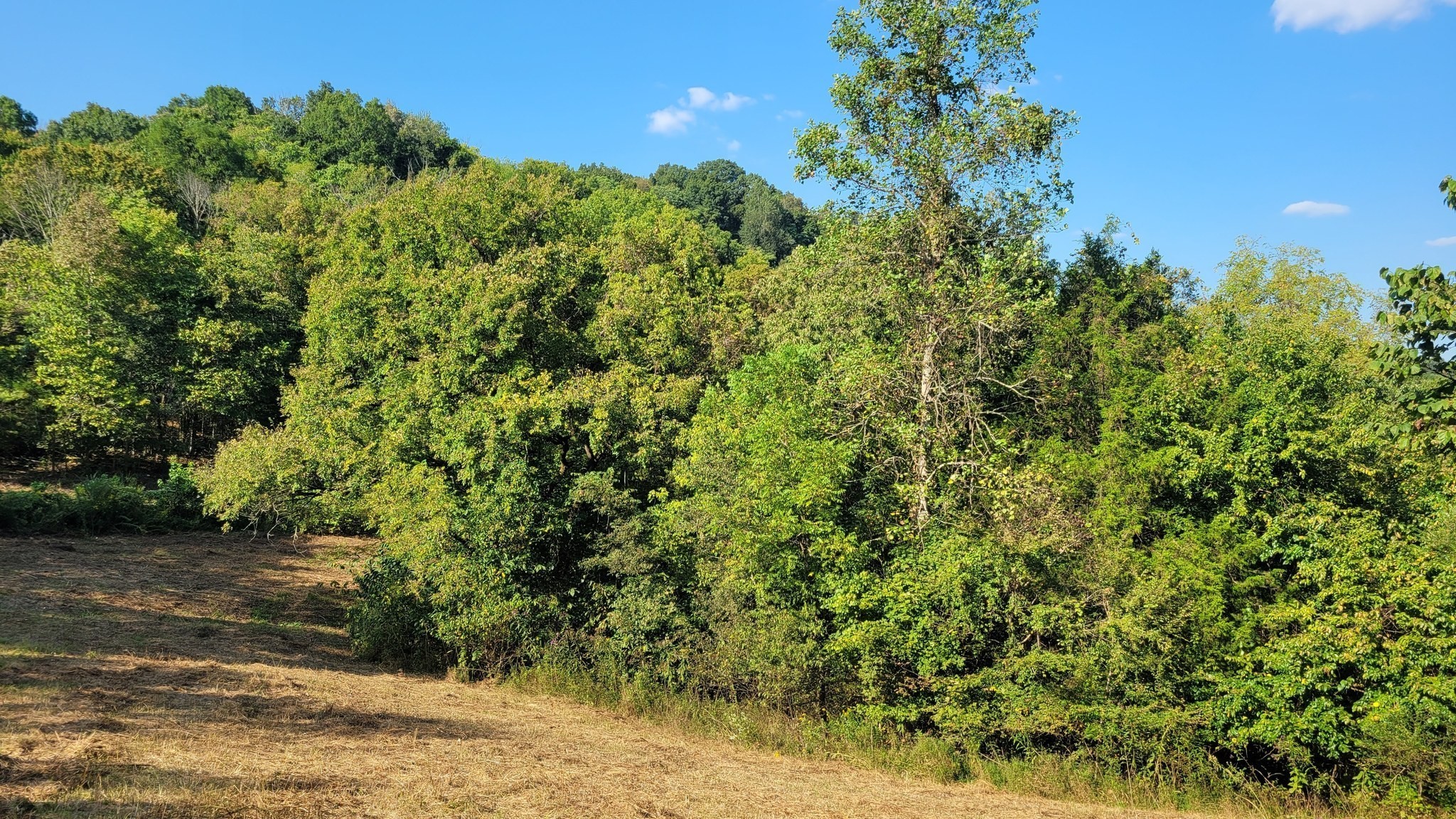 48 Hannah Br Road Petersburg TN 37144