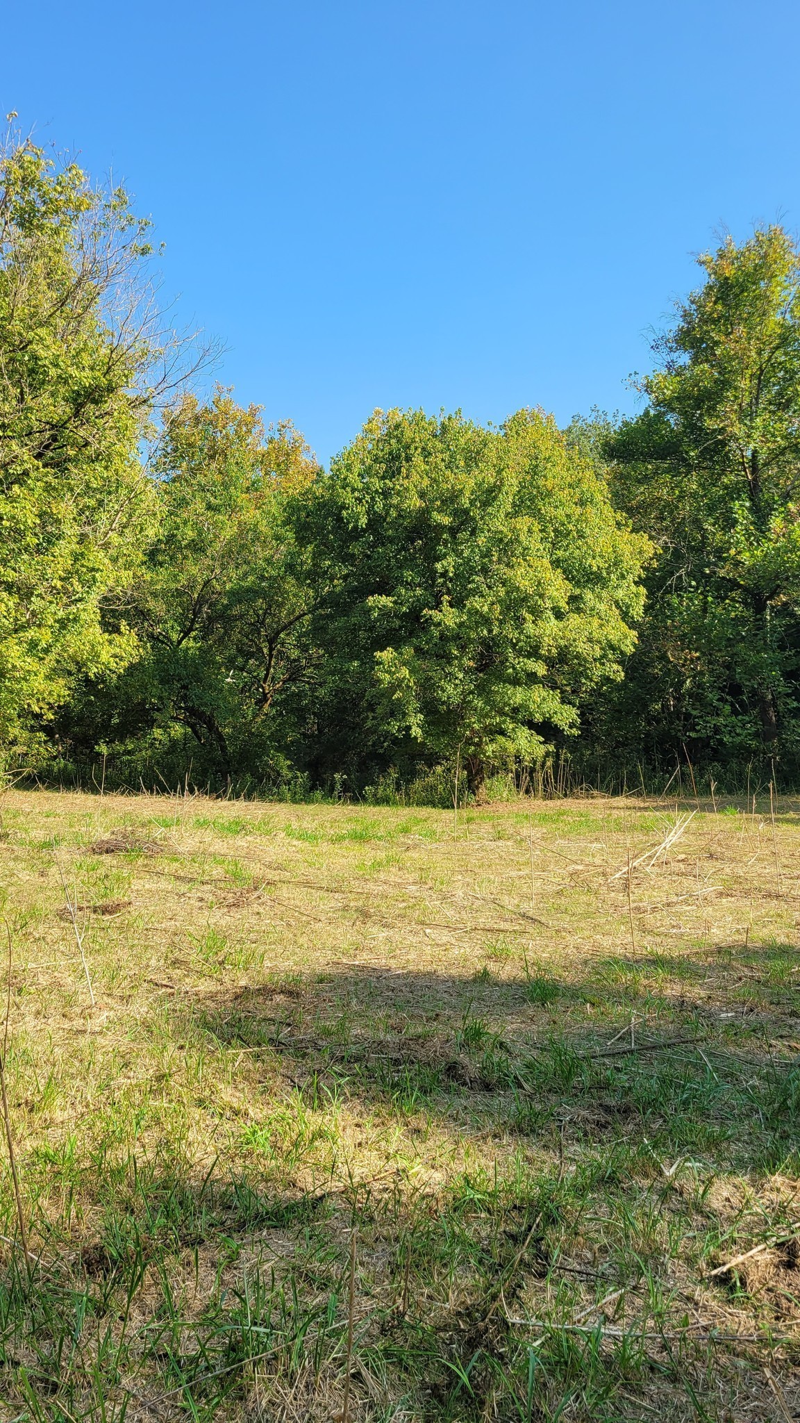 48 Hannah Br Road Petersburg TN 37144