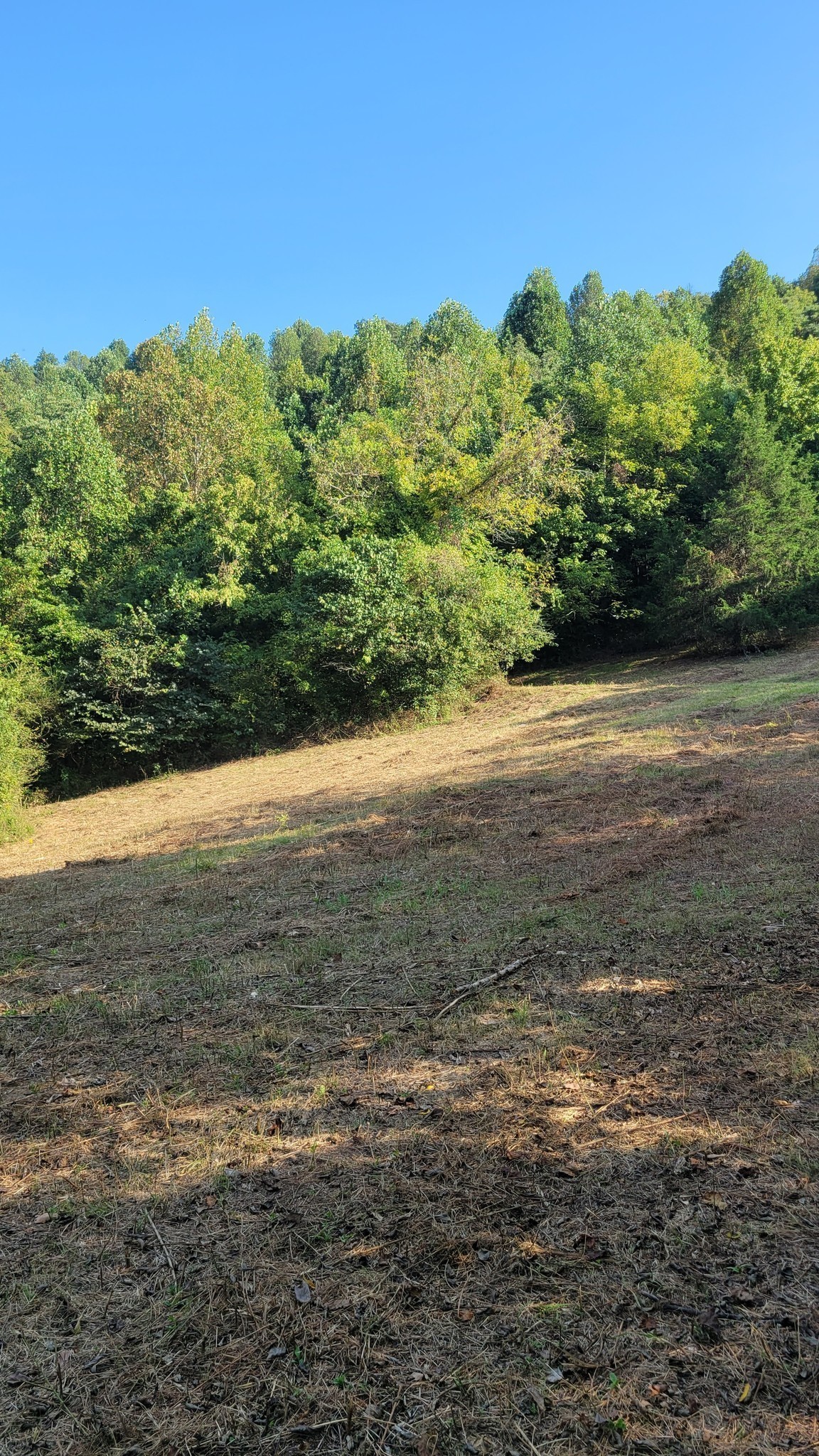 48 Hannah Br Road Petersburg TN 37144
