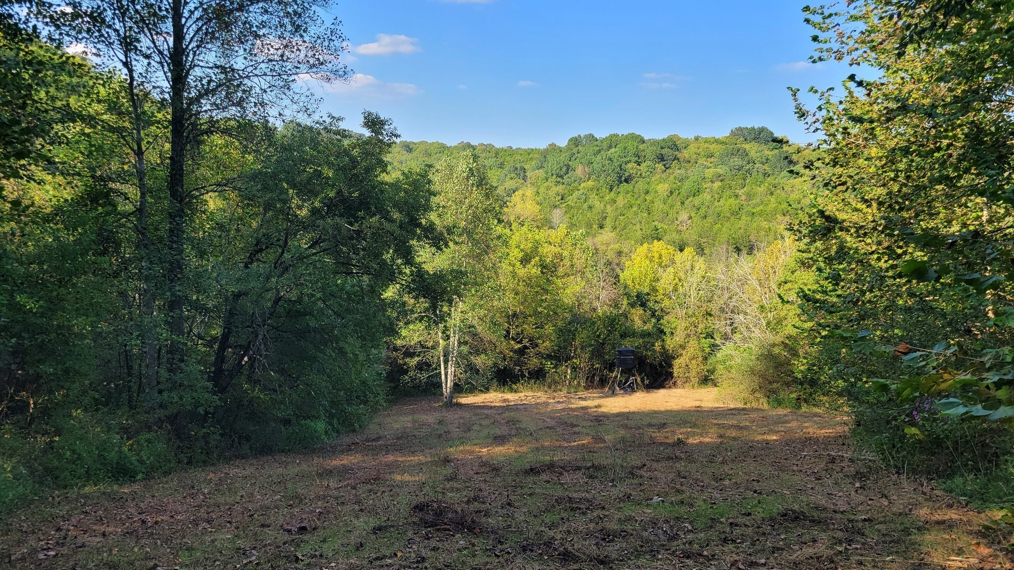 48 Hannah Br Road Petersburg TN 37144