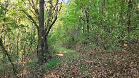 48 Hannah Br Road Petersburg TN 37144