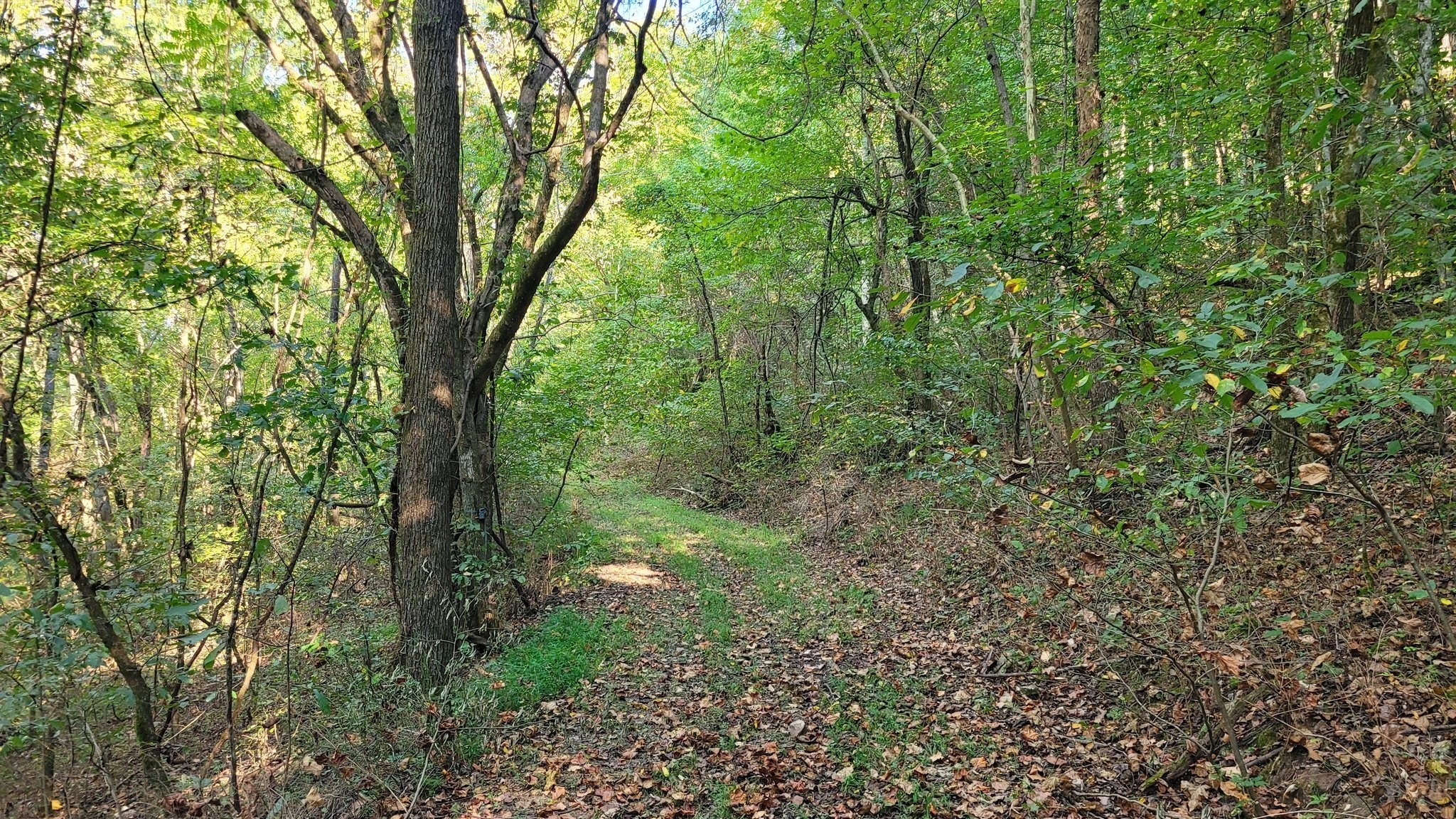 48 Hannah Br Road Petersburg TN 37144