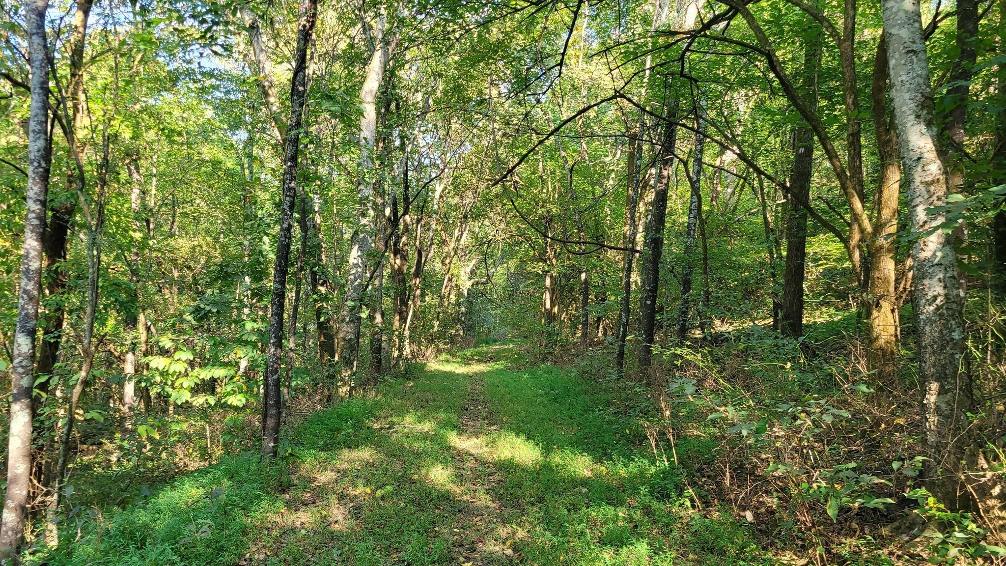 48 Hannah Br Road Petersburg TN 37144