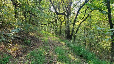 48 Hannah Br Road Petersburg TN 37144