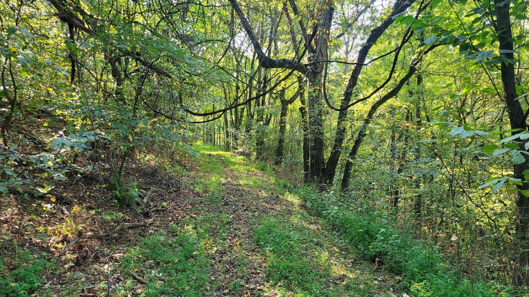 48 Hannah Br Road Petersburg TN 37144