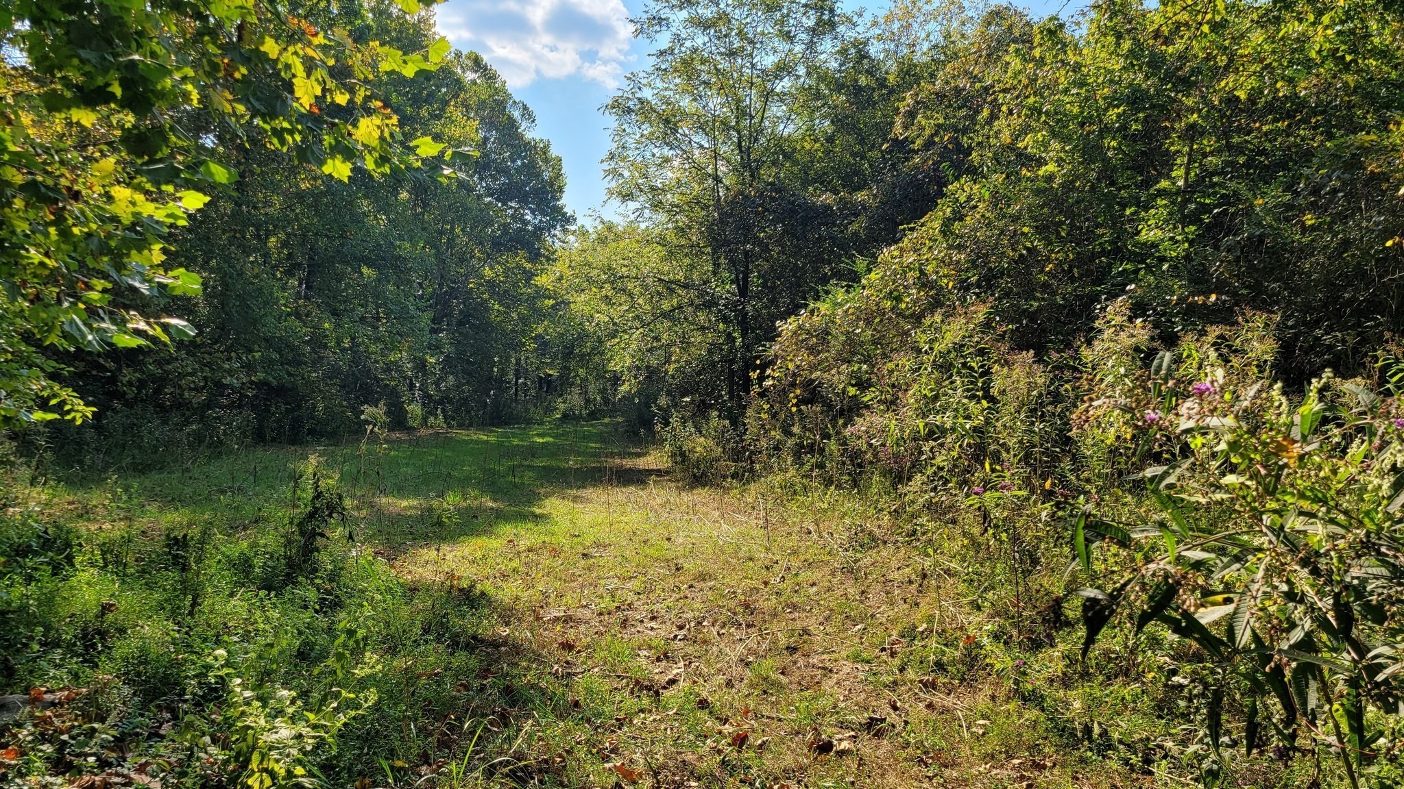 48 Hannah Br Road Petersburg TN 37144