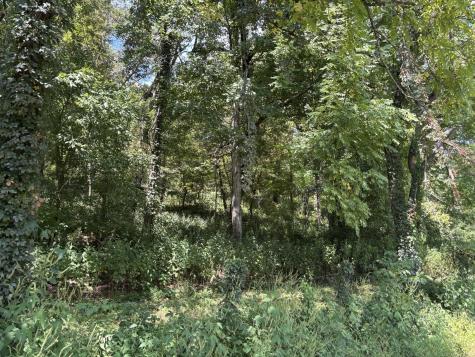 0 Cathcart Road Frankewing TN 38459