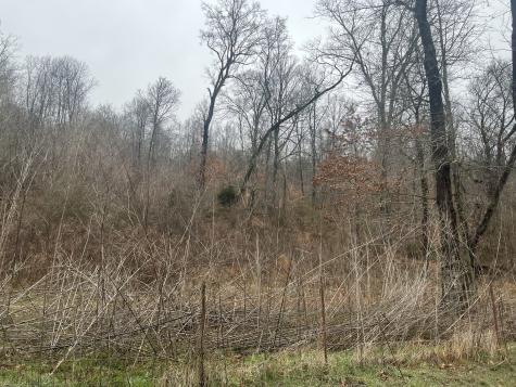 0 Cathcart Road Frankewing TN 38459