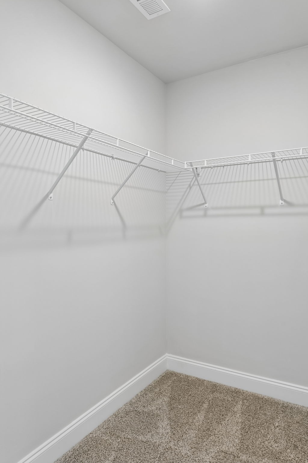 361 Coleman Court Columbia TN 38401