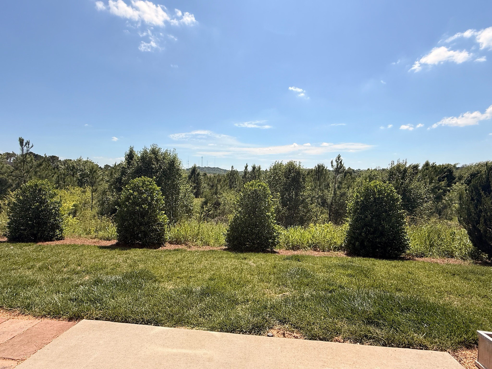 361 Coleman Court Columbia TN 38401