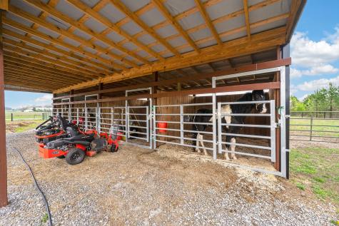 1765 Sugartree Springs Road Belvidere TN 37306