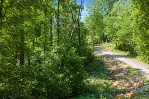 0 Bill Perry Drive Sugar Tree TN 38380