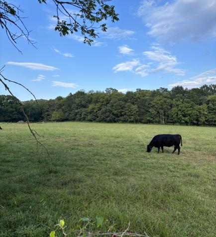 0 Lula Lane Franklin TN 37064