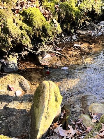 72 Lady Slipper Lane Monteagle TN 37356