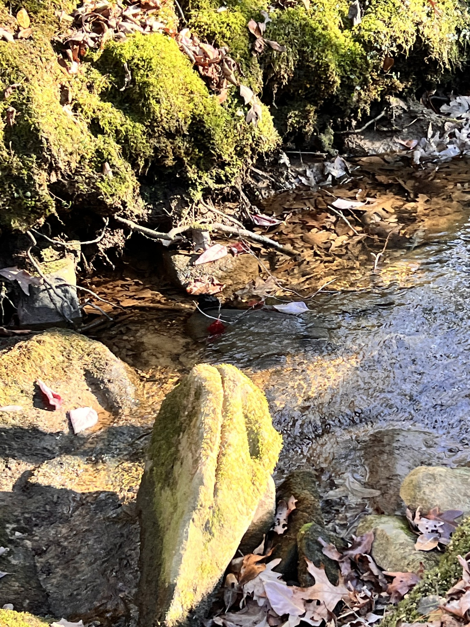 72 Lady Slipper Lane Monteagle TN 37356