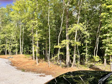 72 Lady Slipper Lane Monteagle TN 37356