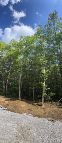 72 Lady Slipper Lane Monteagle TN 37356