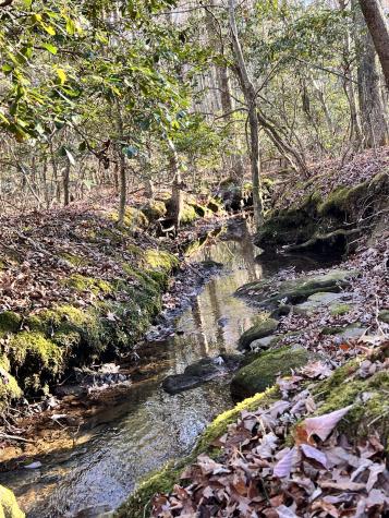 72 Lady Slipper Lane Monteagle TN 37356