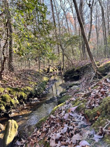 72 Lady Slipper Lane Monteagle TN 37356