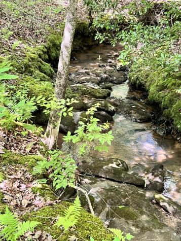 72 Lady Slipper Lane Monteagle TN 37356