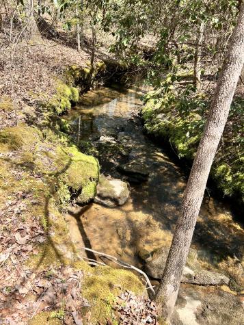 72 Lady Slipper Lane Monteagle TN 37356