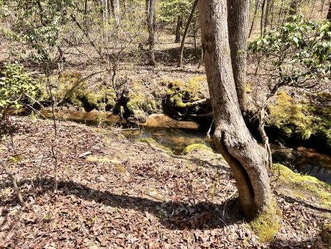 72 Lady Slipper Lane Monteagle TN 37356