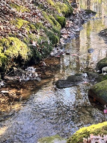 72 Lady Slipper Lane Monteagle TN 37356