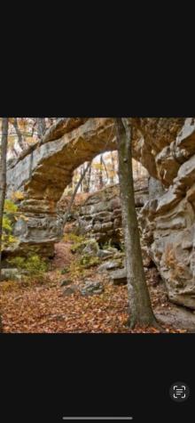 72 Lady Slipper Lane Monteagle TN 37356