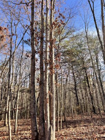 72 Lady Slipper Lane Monteagle TN 37356