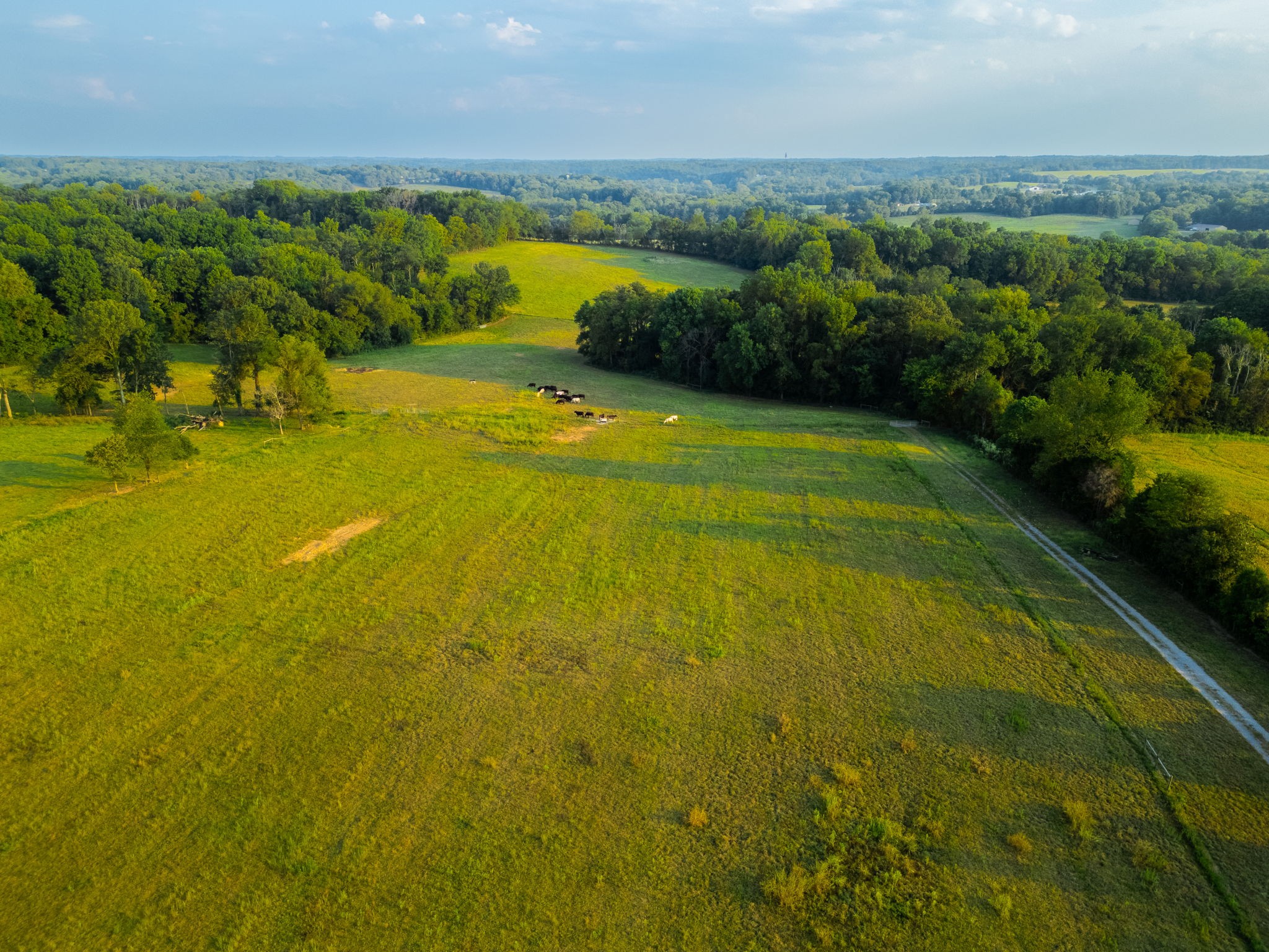 1074 Pair Six Drive Springfield TN 37172
