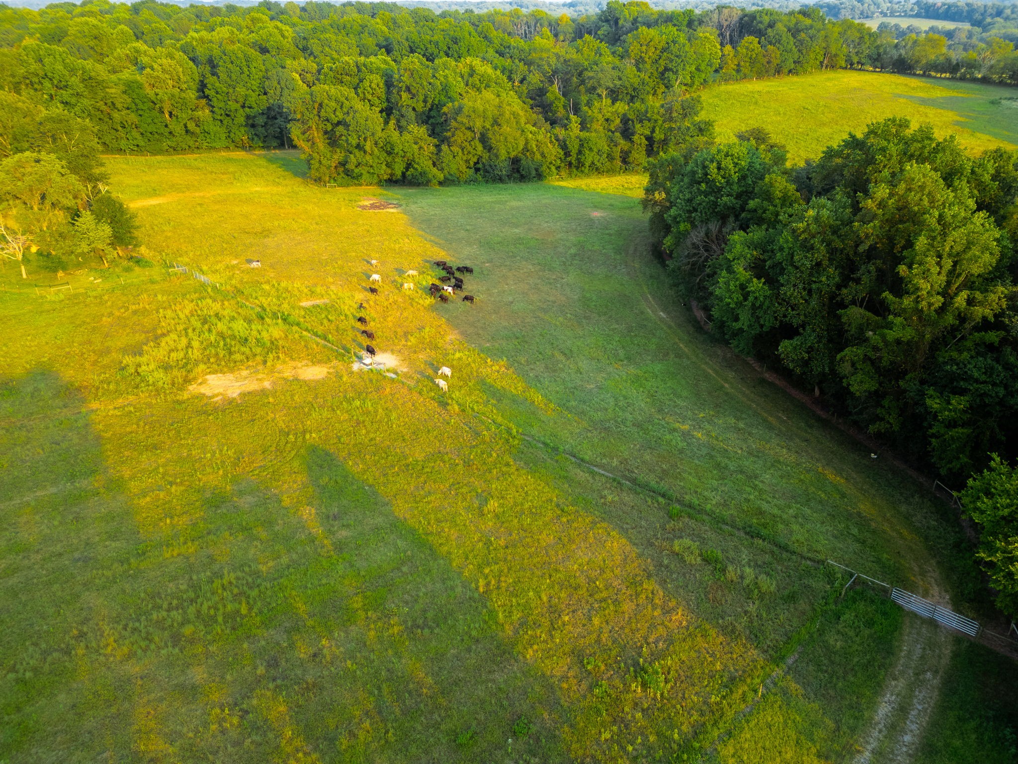 1074 Pair Six Drive Springfield TN 37172