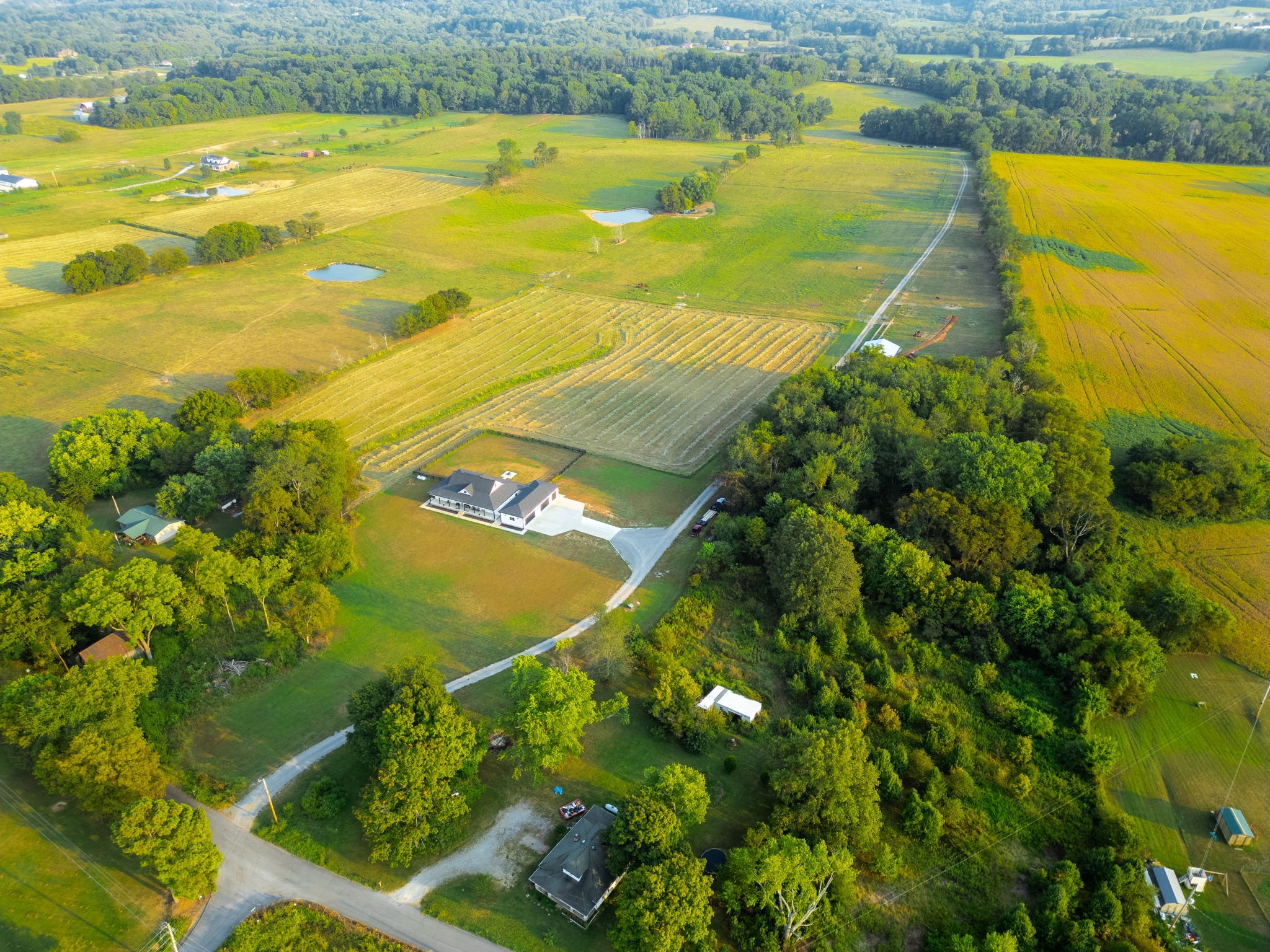 1074 Pair Six Drive Springfield TN 37172