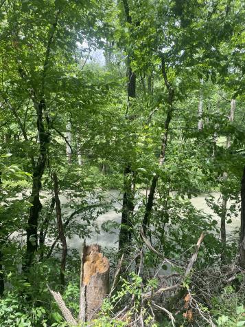 457 Shiloh Road Crawford TN 38554