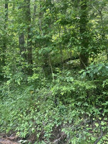 457 Shiloh Road Crawford TN 38554