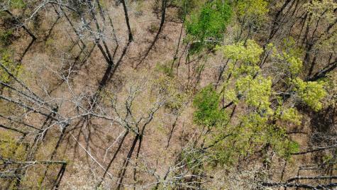 0 Mill Avenue Hohenwald TN 38462