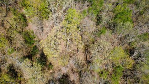 0 Mill Avenue Hohenwald TN 38462