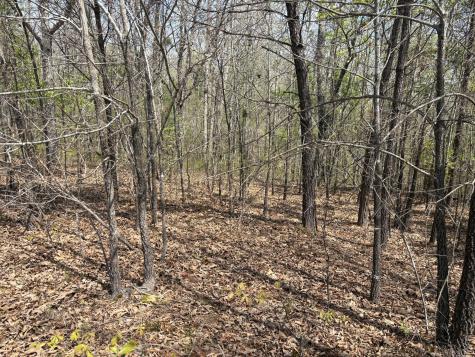 0 Mill Avenue Hohenwald TN 38462