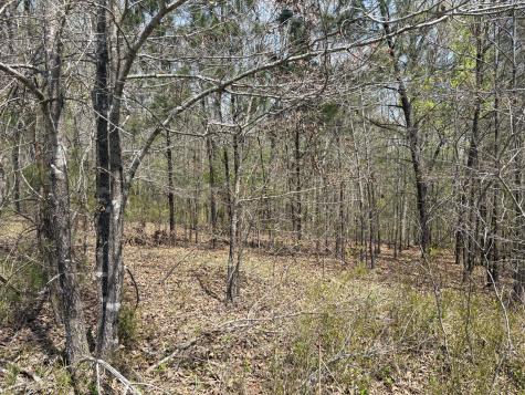 0 Mill Avenue Hohenwald TN 38462
